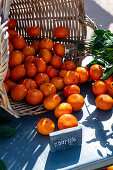 Mandarinen zum Verkauf, Babylonstoren, alte Farm, Weinfarm, Franschhoek, Provinz Westkap, Stellenbosch, Cape Winelands, Südafrika, Afrika