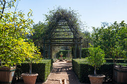 Im Garten von Babylonstoren, alte Farm, Weinfarm, Franschhoek, Provinz Westkap, Stellenbosch, Cape Winelands, Südafrika, Afrika