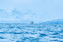  Norway, Skjervøy 