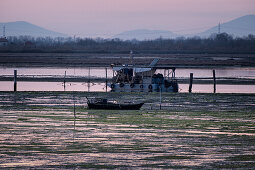 Sumpflandschaft bei Sonnenuntergang, Laguna di venetia, Chioggia, Veneto, Italien, Europa