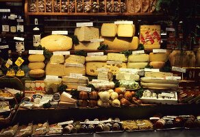 Cheese Counter