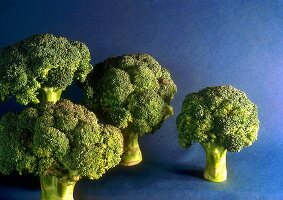 Broccoliröschen