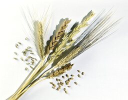 Getreideähren (Dinkel, Gerste, Hafer, Weizen und Roggen)