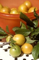 Greengages in and in front of a dish