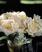 Peach Roses in an Outdoor Vase