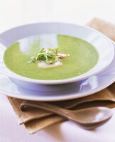 Cold pea soup with scallops and sorrel