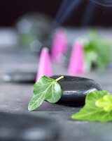 Ivy leaf on massage stone, incense cones in background