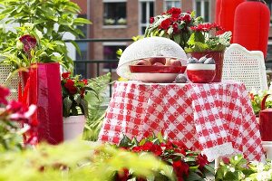 Terrasse mit Gartenmöbeln und Sommerblumen