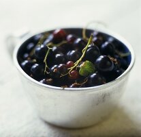 Bowl of blackcurrants