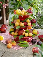 Nectarines, peaches, plums and apricots on tiered stand