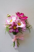 Posy of cosmos with checked ribbon
