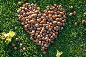 Walnuts forming a heart on grass