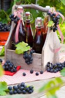 Bottles of red grape juice in bottle carrier