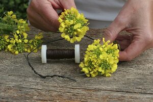 Making a wreath of oilseed rape flowers