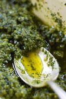 Rocket and coriander pesto with spoon