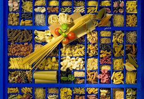 A blue seeding tray with various types of pasta