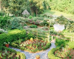 A vegetable garden and a flower garden