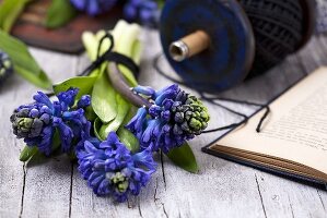 Blue hyacinths, a book and garden twine