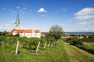 Weinort Gumpoldskirchen, Wien, Österreich