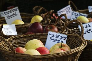 Various varieties of apples in baskets