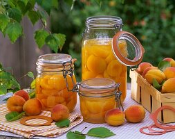 Apricot compote and fresh apricots