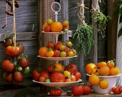 Various types of tomatoes on tiered stand