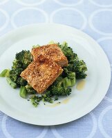Tofu slices with sesame crust on broccoli