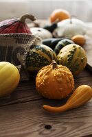 Ornamental gourds