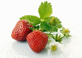 Strawberries with flowers and leaves