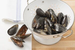 Mussels in a colander