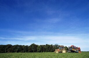 Traktor auf dem Feld in Norfolk, Grossbritannien