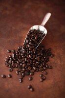 Scoop of coffee beans