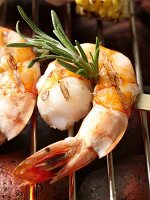 Grilled Shrimp Kabob with Rosemary