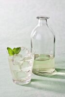 Vodka Gimlet with Mint Garnish