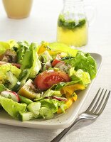 Kopfsalat mit Tomaten und Radieschen, Salatdressing im Glaskrug