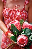 A woman holding a bunch of protea flowers