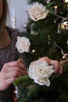 Frau schmückt Tannenbaum mit weissen Rosenblüten