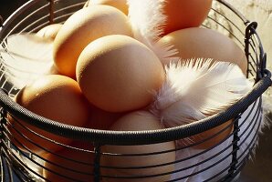 Hen’s eggs with white feathers in wire basket