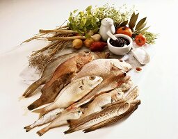 Fish and ingredients for fish dishes