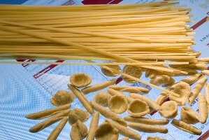 Various types of pasta (Spaghetti, orecchiette, garganelli)