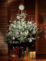 Weihnachtsbaum mit Strohsternen 