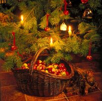 Apple basket under Christmas tree with lit candles
