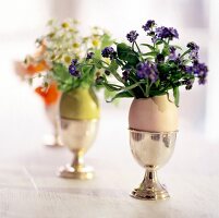 Mini Bouquets in egg shells on silver egg cups
