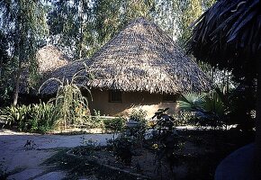 Runde Lehmhütte inmitten tropischer Vegetation