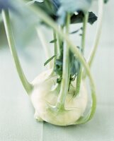 Ein Kohlrabi 