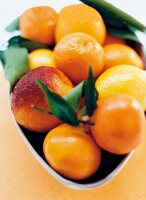 Close-up of oranges and lemons in bowl