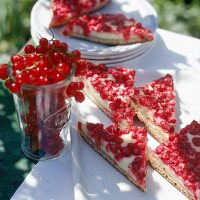 Johannisbeer-Schmand-Kuchen in Dreieck-Stücke geschnitten