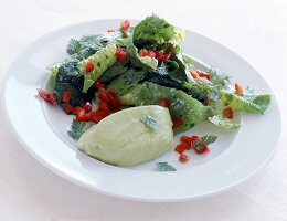Blattsalat mit Avocadomousse 