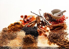 Various types of exotic spices on white background
