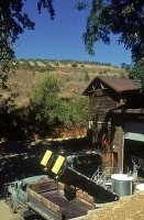 Holzhaus eines Weinbetriebes, im Hof steht ein leerer Lastkraftwagen